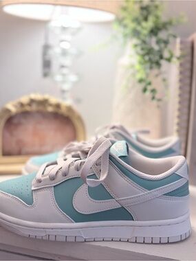 Nike Women’s Low-Top dunks in Aqua and grey